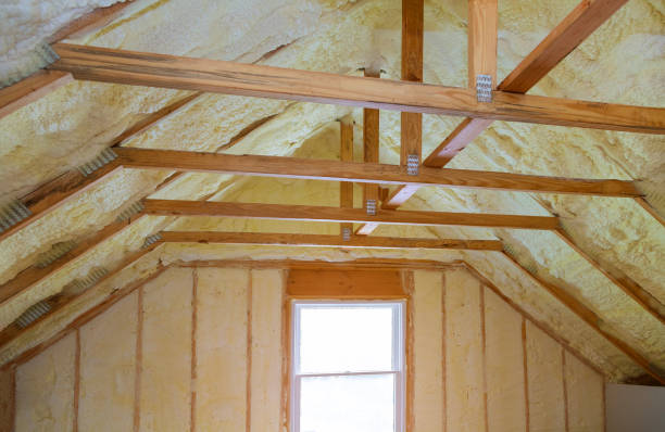 Best Eco-Friendly Insulation in Humboldt, IA