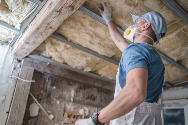 Professional Insulation Contractor in Humboldt, IA