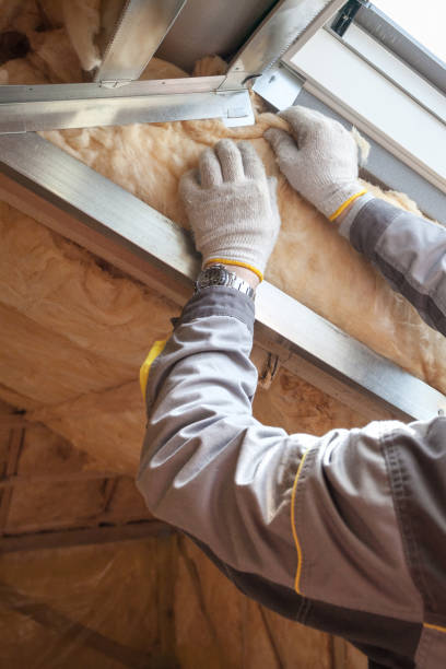 Best Geographic-Specific Insulation Services in Humboldt, IA