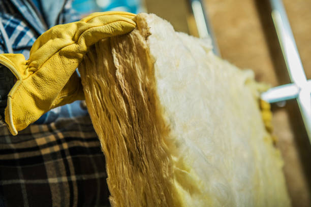 Best Cellulose Insulation in Humboldt, IA