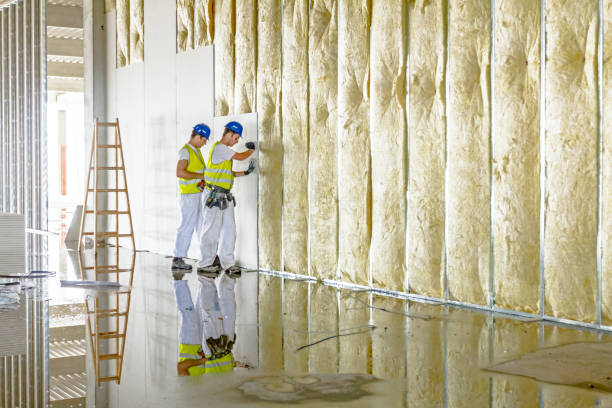 Best Spray Foam Insulation in Humboldt, IA